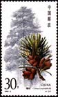 Cathaya argyrophylla stamp