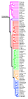 cladogram