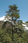 Photo 01