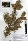 Photo 01