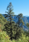 Photo 02