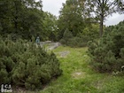 Photo 01
