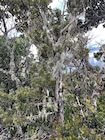Photo 01