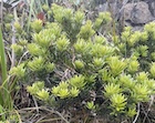 Photo 02