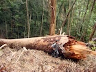 Photo 02