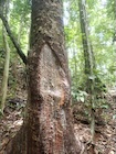 Photo 03