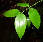 Photo 04