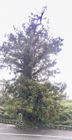 Photo 02