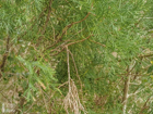 Photo 03
