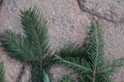 Photo 04