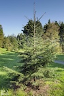 Photo 01