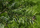 Photo 02