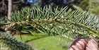 Photo 03