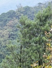 Photo 03