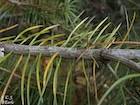 Photo 05