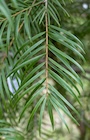 Photo 04