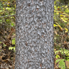Photo 04