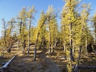 Photo 05