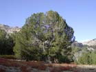 Photo 01