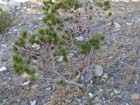 Photo 05