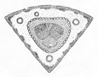 Martinez fig 161