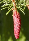 Photo 04
