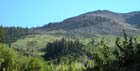 Photo 01