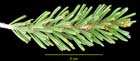 Photo 06