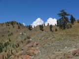 Photo 09