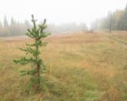 Photo 01