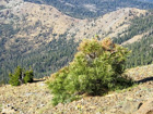 Photo 06