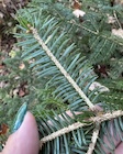 Photo 03