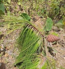 Photo 02