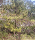 Photo 02