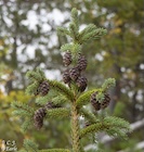 Photo 07