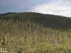 Photo 08