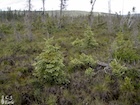 Photo 09
