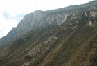 Photo 05