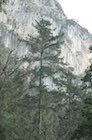 Photo 06