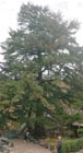 Photo 06