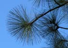 Photo 08