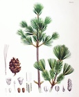 Photo 01