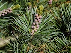 Photo 02