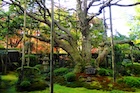 Photo 07