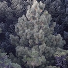 Photo 04