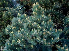 Photo 06
