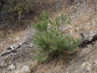 Photo 02
