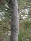 Photo 04