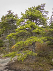 Photo 02