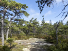Photo 03